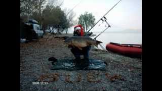 Winter carp 2006 dec Rio Ebro part1 [upl. by Ravo]