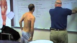 Scapular Protraction Pectoralis Minor Stretching [upl. by Iraj]