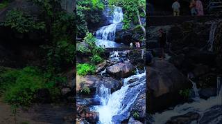 Areekkal waterfalls shortvideo shortfeed viralvideo viralshort music Kerala ernakulam kochi [upl. by Lynnette578]