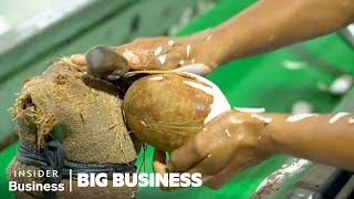 Why Coconut Farmers Risk Their Lives To Feed The Worlds Superfood Obsession  Big Business [upl. by Liryc634]