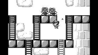 Rod Land Longplay Game Boy 60 FPS [upl. by Oicinoid]