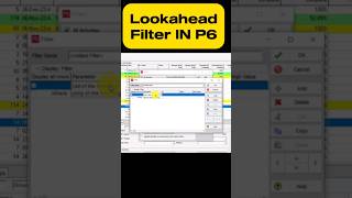 1 Month Lookahead Filter in P6 oracle planning viral primavera egypt kuwait P6 excel filter [upl. by Onifled]