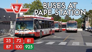 TTC Buses at Pape Station [upl. by Rafa]