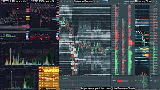 240112 UTC7 bookmap premium tradingview kingfisher liquidation btc future spot live [upl. by Kcerb]