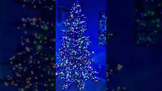 Griswold LED Christmas tree [upl. by Naihtniroc]