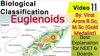 Name the connecting link between plants and animalsEuglenawhat is pelliclewhat is pyrenoid body [upl. by Sihtam]