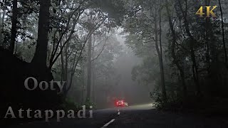 Ooty  avalanche  attappadi  kinnakorai ooty attappadi travel forest [upl. by Aihtak]