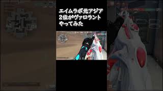 質は悪いけど。aimlab aimlabs aimbot valorant valorantclips valorantclip [upl. by Nalahs]