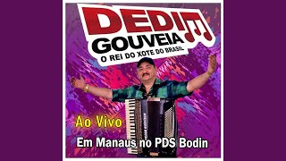 Rei do baralho  Ao Vivo [upl. by Eanod]