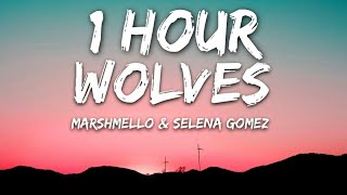 Selena Gomez Marshmello  Wolves Lyrics 🎵1 Hour [upl. by Yeliak683]