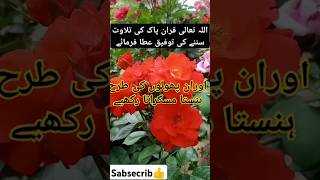 Phoolon ki jagmagahat aur quran🌷👍gulabYouTube shorts [upl. by Airretnahs]