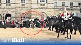 Another spooked Household Cavalry horse throws rider during military parade in London [upl. by Aver563]