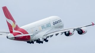 Qantas A380800 Takeoff Melbourne Airport  VHOQH [upl. by Sivatnod458]