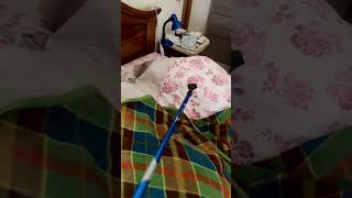 Nonno Faustino scherzo nel letto con Maria 🐊🐊😂 [upl. by Amarillas]