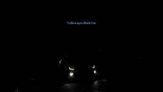 Volkswagen Black Cat shorts youtubeshorts trending shortvideo viralvideo ytshorts subscribe [upl. by Eintroc]