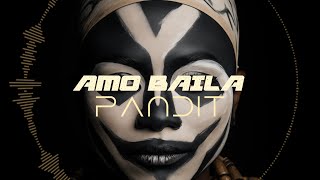 PANDIT  AMO BAILA Official Visualizer [upl. by Marni]