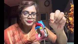 Ventricular septal defect  VSD device  HINDI 9830769550 [upl. by Uaerraj522]