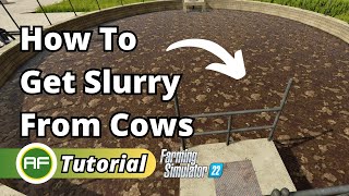 How To Get Slurry From Cows In Farming Simulator 22 [upl. by Timrek5]