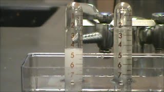 Electrolysis of water in a Hoffman apparatus [upl. by Polik]