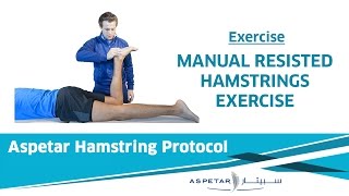 23 Exercises  Manual Resisted Hamstrings [upl. by Lirba]