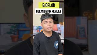 BIOFLOK BUKAN UNTUK PEMULA bioflokikannila bioflok bioflocfish ikannila [upl. by Areik]