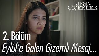 Eylüle gelen gizemli mesaj  Kırgın Çiçekler 2 Bölüm [upl. by Qiratla]