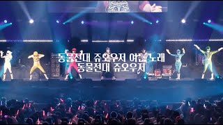 가사 동물전대 쥬오우저 동물전대 쥬오우저 오프닝  타카토리 히데아키 초영웅제 라이브 Live [upl. by Nibuz561]