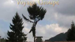 Elagage du grand Sapin [upl. by Ebarta]