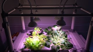 Hydroponic Growbox by Opcom Farm [upl. by Fleisher15]