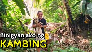 Nakaburaot ako ng mga KAMBINGMagkano ang presyo ng kambing sa probinsya [upl. by Bethany696]