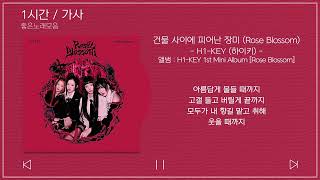 1시간  가사  H1KEY 하이키  건물 사이에 피어난 장미 Rose Blossom  앨범  H1KEY 1st Mini Album Rose Blossom [upl. by Ford]