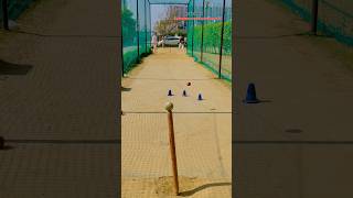 Leg spin bowling practice  leg spin bowling kaise dale  leg spin bowling tips  cricket shorts [upl. by Xuagram]