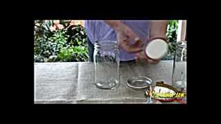 The difference between Fowlers Vacola Jars and Ball Mason USA Jars [upl. by Beore]