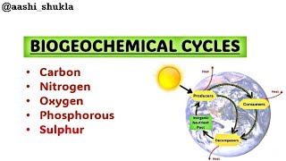 Biogeochemical Cycles  Carbon Nitrogen Oxygen Sulphur  Unit 2  Environmental Chemistry [upl. by Ewen915]