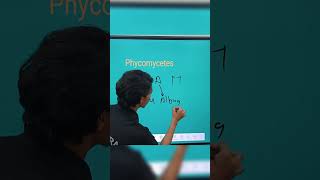 Phycomycetes example trick by Ranveer sir shorts [upl. by Attenrev]