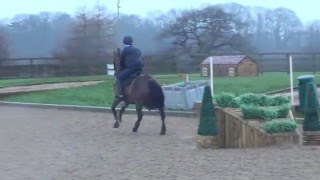 Pony Training Somerford Park [upl. by Gamin]