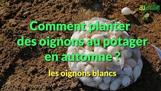 Comment PLANTER les OIGNONS en AUTOMNE  👍👍 [upl. by Badger954]