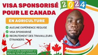 💼 Découvrez comment obtenir un visa sponsorisé pour le Canada en 2024 et réalisez votre rêve 🇨🇦 [upl. by Caine]