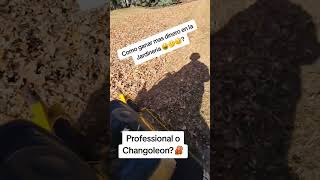 Muy buen consejo construccion pintor freimeros drywallero construction yarderos lawncare [upl. by Atokad357]