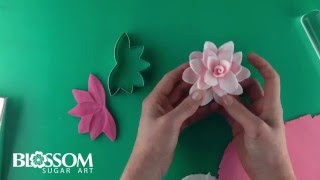 Quick and Easy Edible Waterlily [upl. by Eskil318]