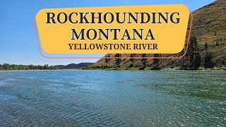 Rockhounding Montana  Yellowstone River [upl. by Awhsoj]