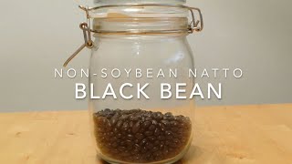 Black Bean NonSoybean Natto Series [upl. by Lilia]