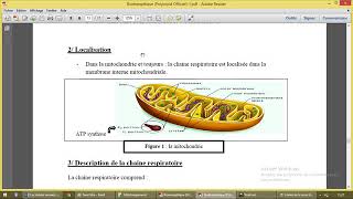 Chaine respiratoire mitochondriale [upl. by Notac]