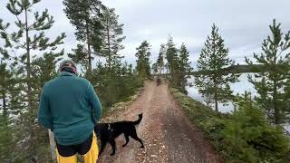 Tossjön the road in the lake Sweden [upl. by Ahsinet145]