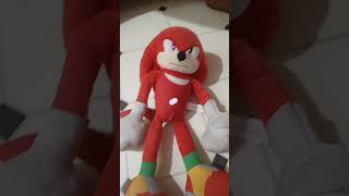 Knuckles the goofy man [upl. by Thapa]