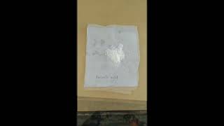 preparations of benzoic acid from benzamide fieldofpharmacy experiment pharmacy viralvideo [upl. by Augie]