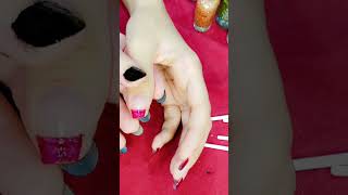 Easy French Tip Nail Art Design For Beginners [upl. by Dnaleel511]