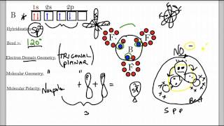 Hybridization Lecture [upl. by Nnylsoj]