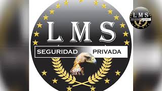 ¿Que es la seguridad privada [upl. by Alauqahs23]