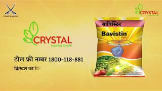 Bavistin  most trusted fungicide of India  Hindi DH [upl. by Cavan]